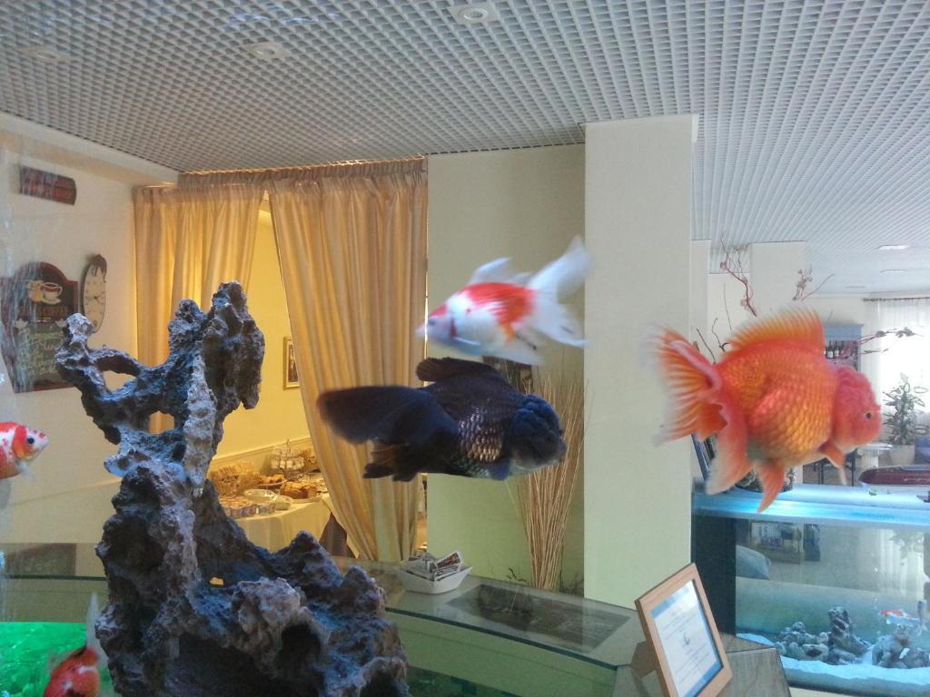 Hotel Il Gatto Rapallo Exterior photo